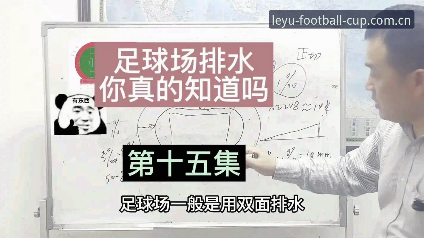 乐鱼体育世界杯足球水位变化使用指南：从入门到精通的深度解析
